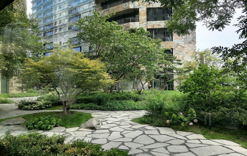 万科时代中心.奥林